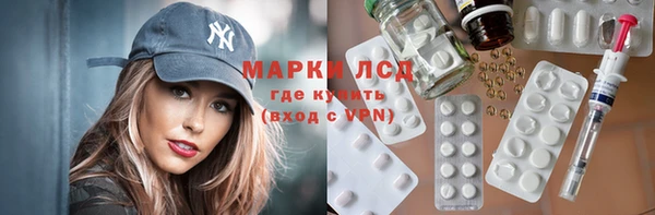 молекула духа Пересвет
