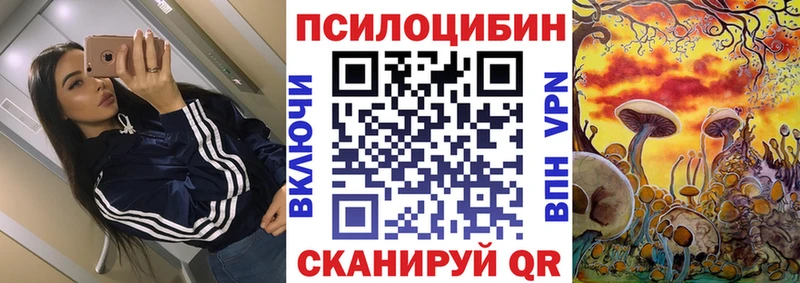 Псилоцибиновые грибы Psilocybe  магазин  наркотиков  Опочка 